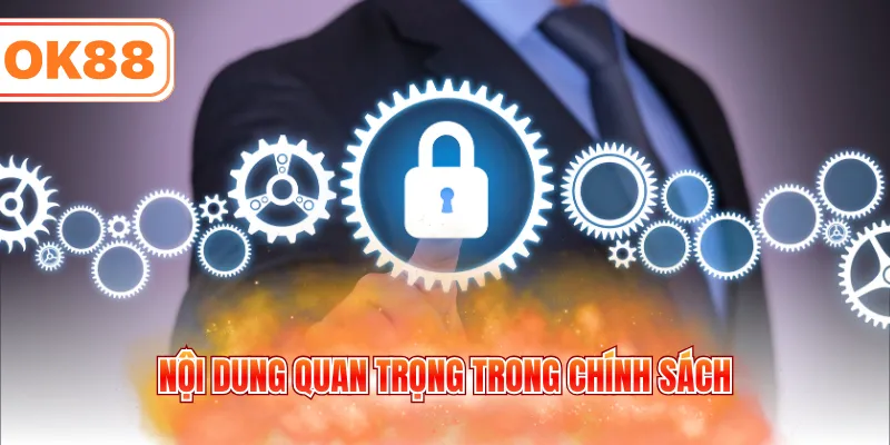 Nội dung quan trọng trong chính sách quy định trong hệ thống